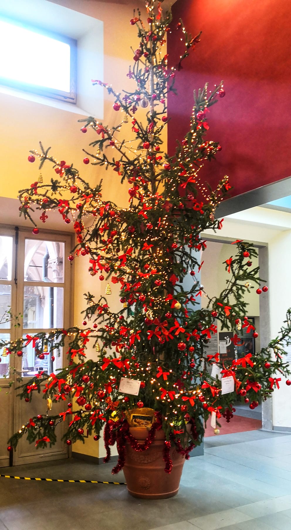 L'albero di Natale all'ingresso dell'ospedale (Fonte foto Ausl Toscana Centro)