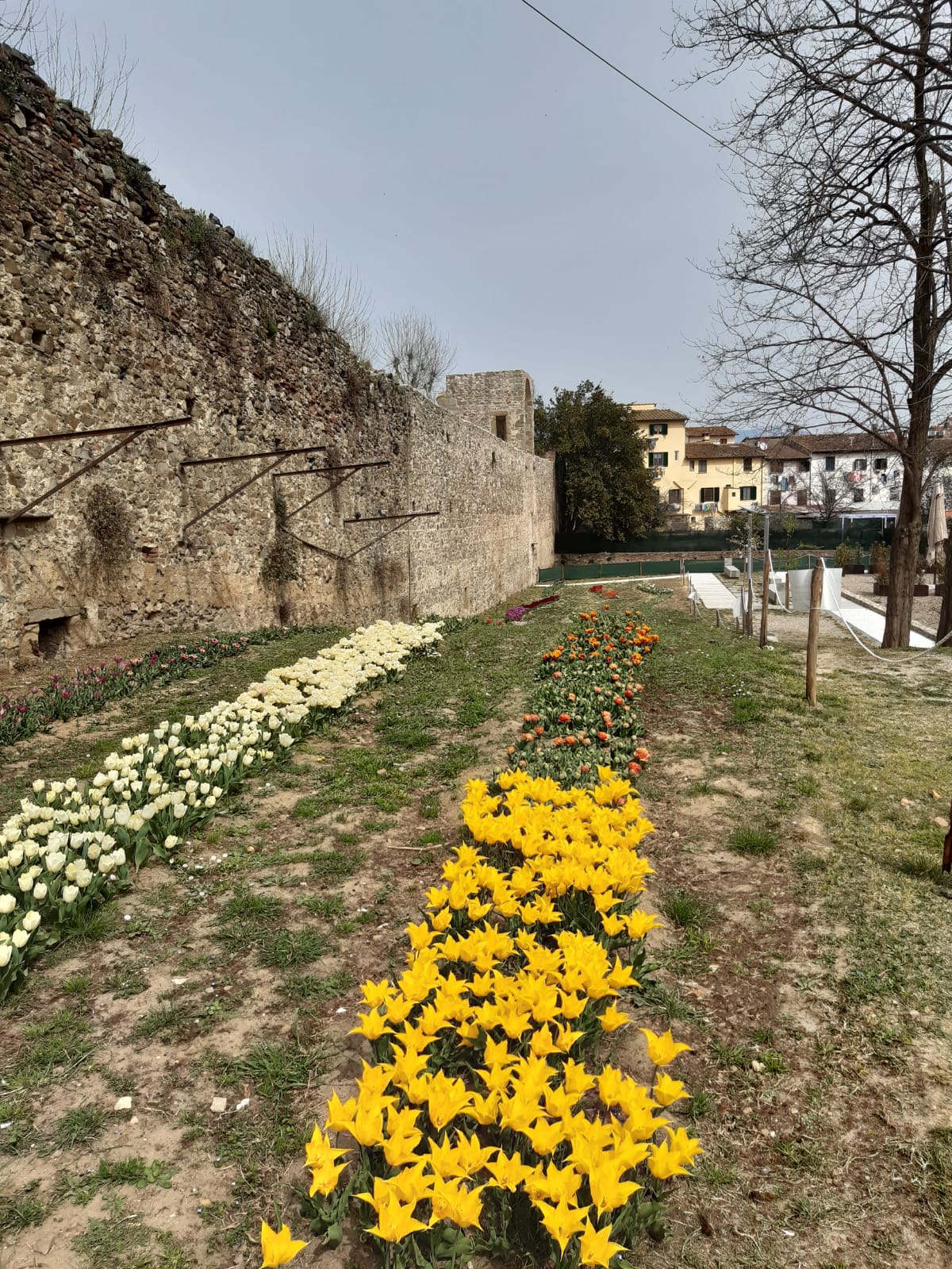 Progetto Wander and pick - fonte Comune di Lastra a Signa