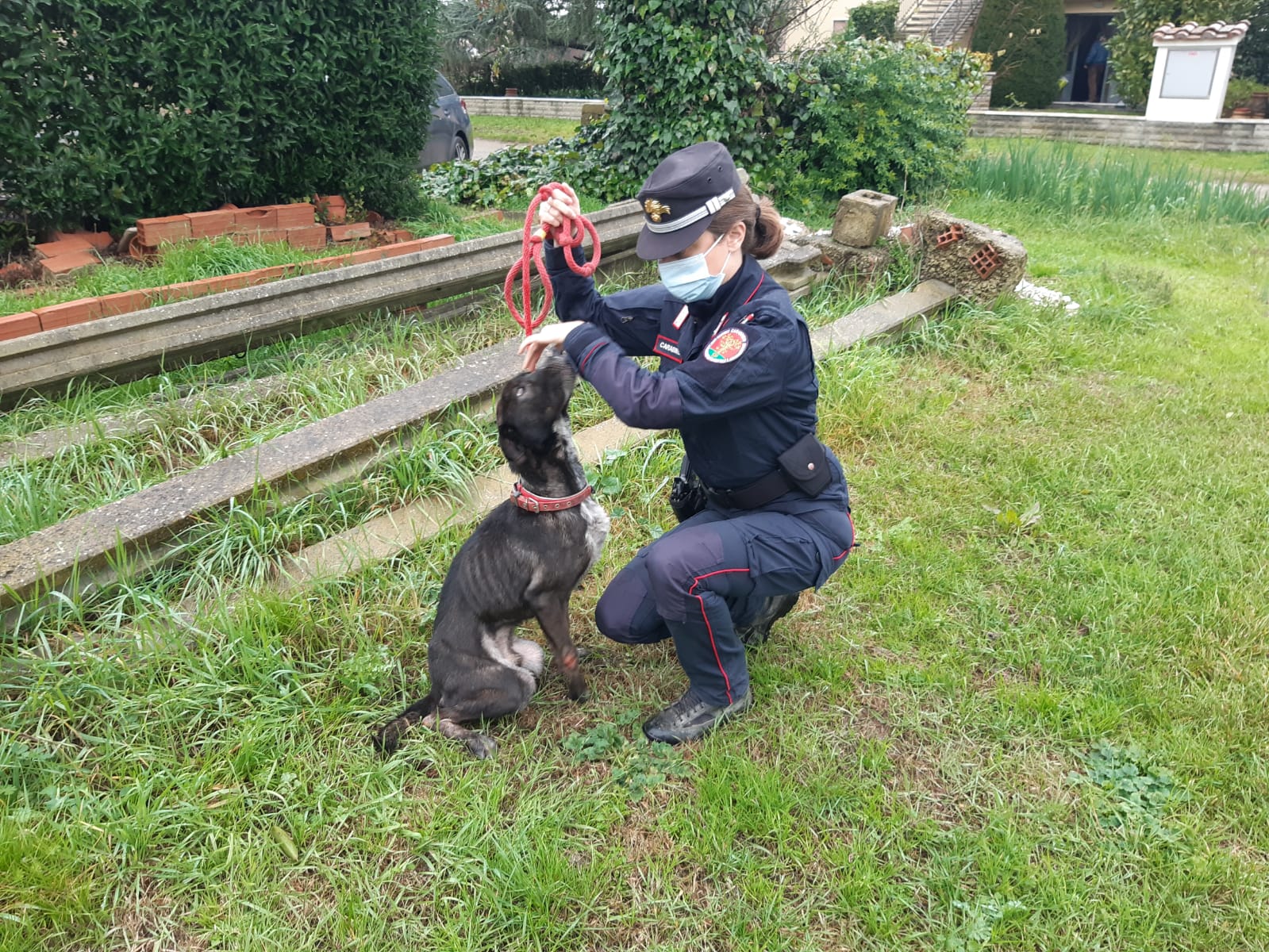 Carabinieri Forestali e veterinari uniti per gli amici a quattro zampe (Fonte foto Carabinieri)