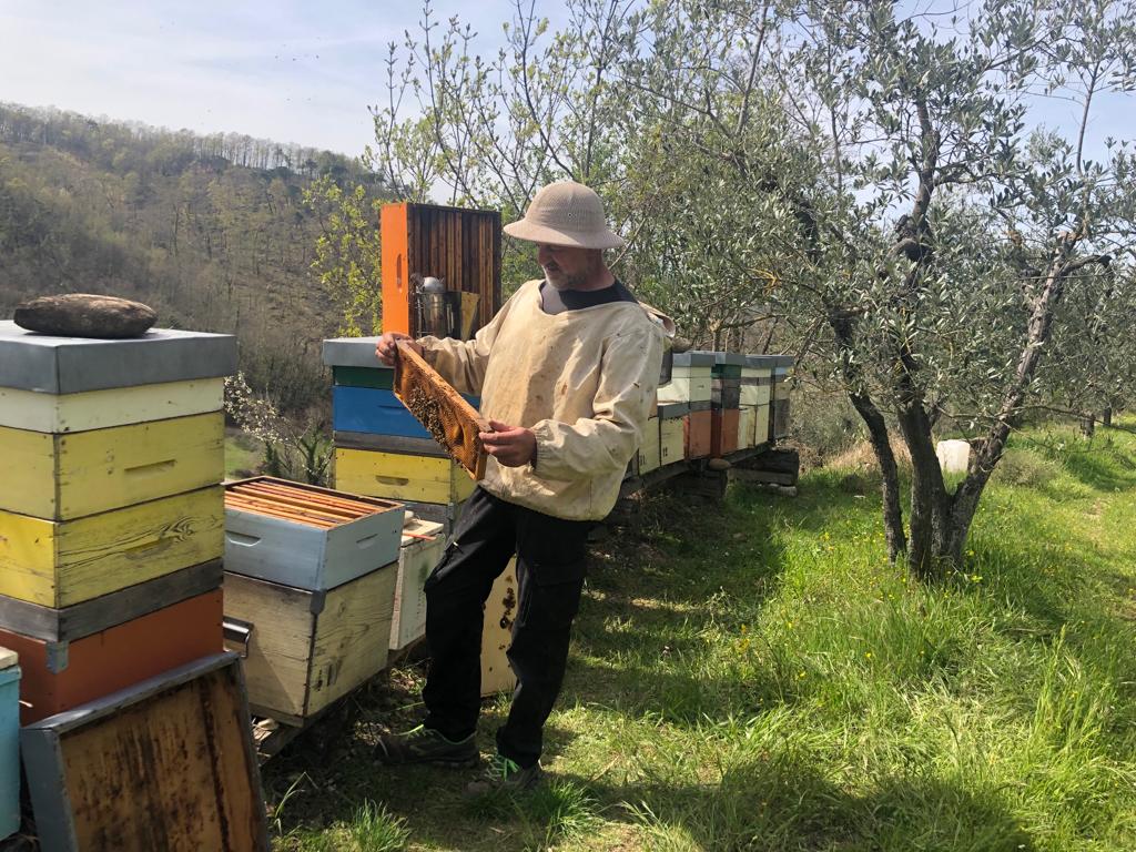Michele Porcu, apicoltore (Fonte foto Comune di San Casciano)