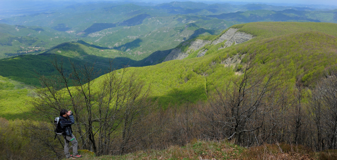 Parco delle Foreste Casentinesi (Fonte foto Regione Toscana)