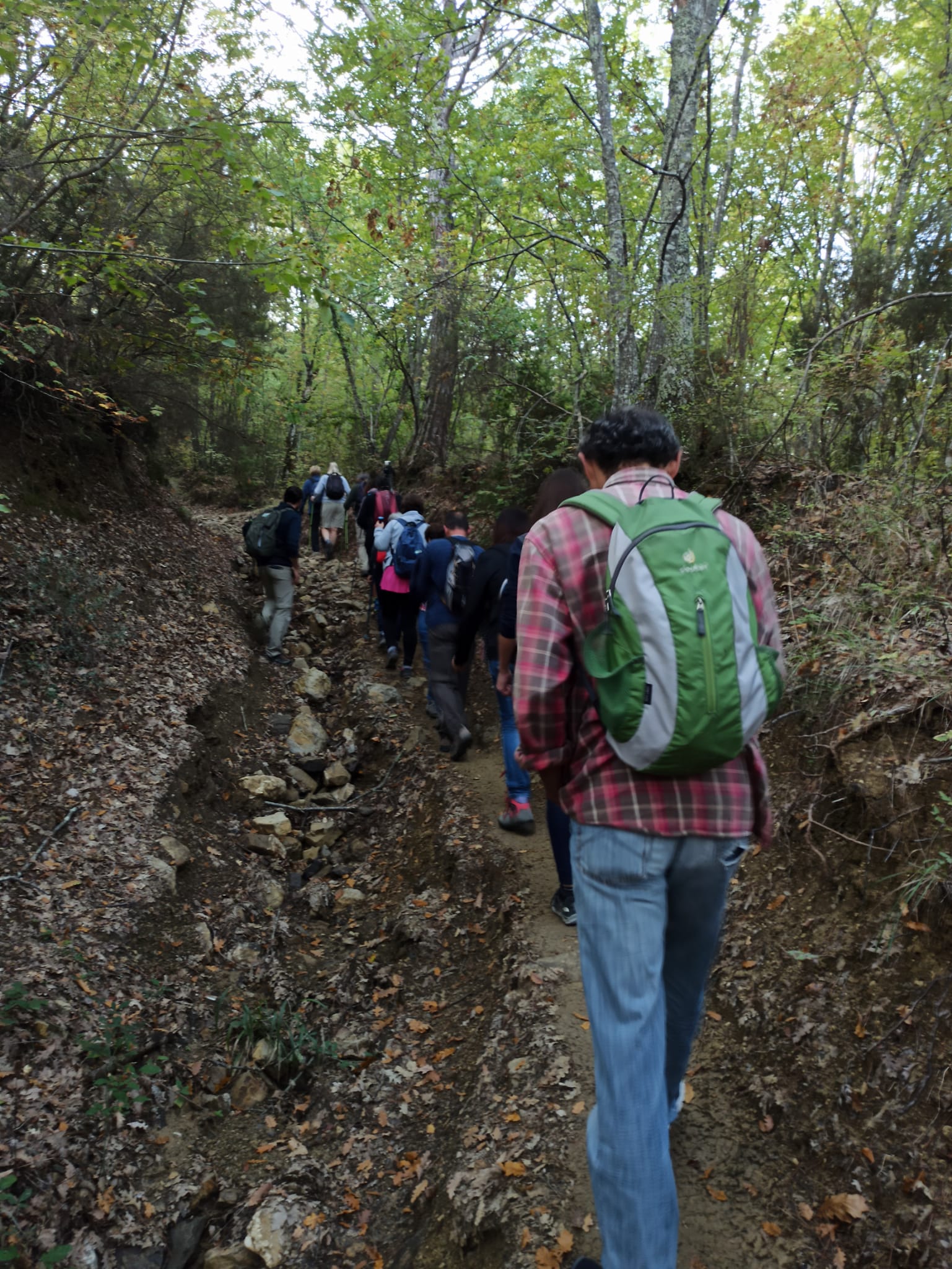Passeggiata tra i boschi di San Giovanni Gualberto (Fonte foto Comune di Barberino e Tavarnelle)