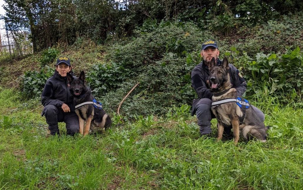 Polizia di stato - Fire e Onah