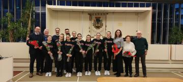 Ginnastica artiscita, presentazione