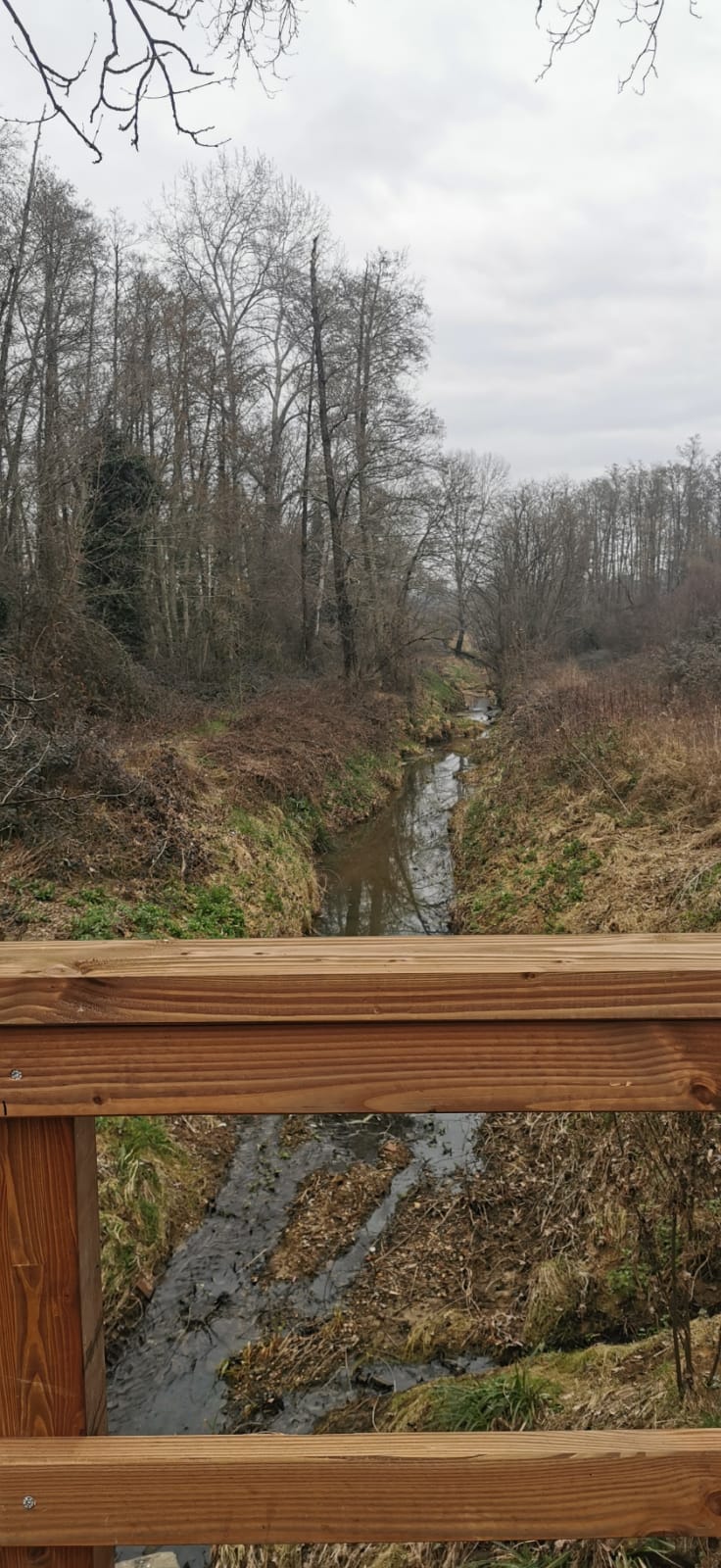 Il rio visto dal nuovo ponte (fonte foto Comune di Fucecchio)