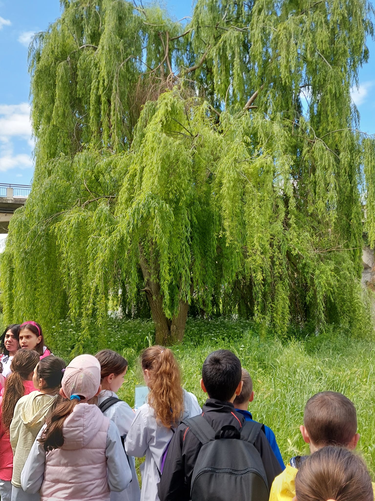 Gli studenti della primaria San Francesco alla scoperta di Arno e Sieve (Fonte foto Autorità di Bacino)