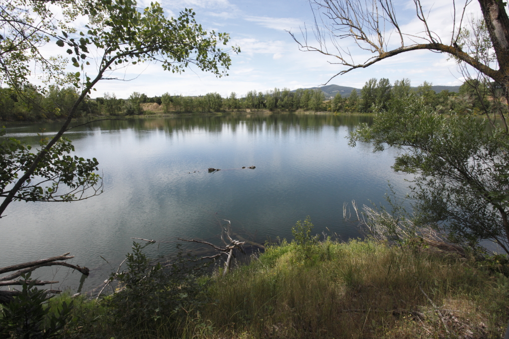 Arnovecchio, area naturale protetta