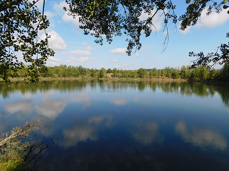 Arnovecchio, area naturale protetta