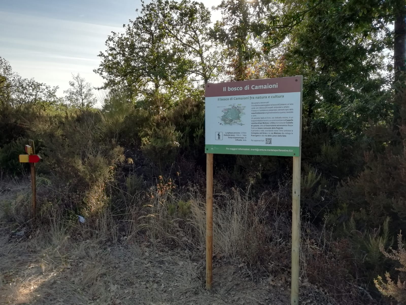 Bosco di Camaioni (Fonte foto Comune di Montelupo Fiorentino)