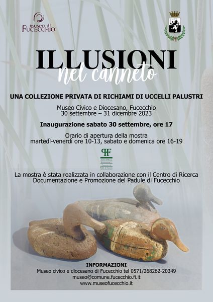 Illusioni nel canneto