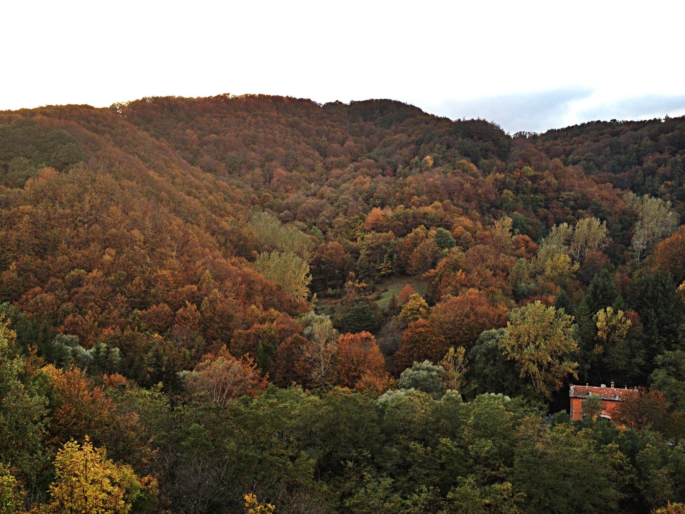 Autunno