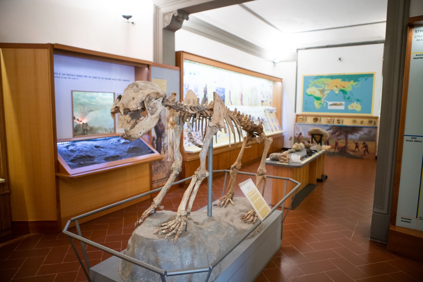 museo paleontologico