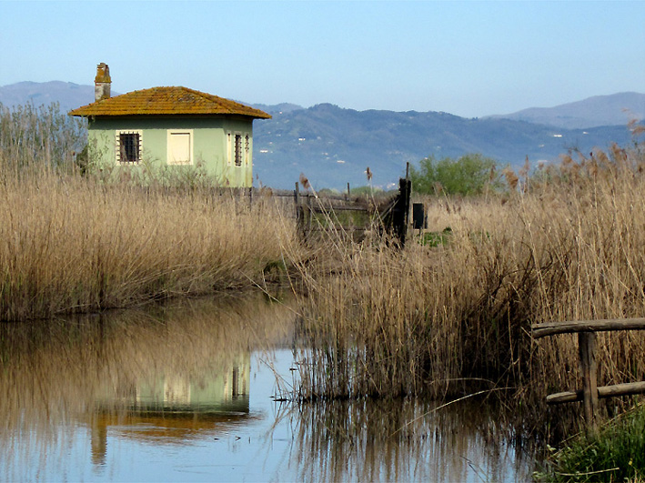 Riserva naturale le Morette 