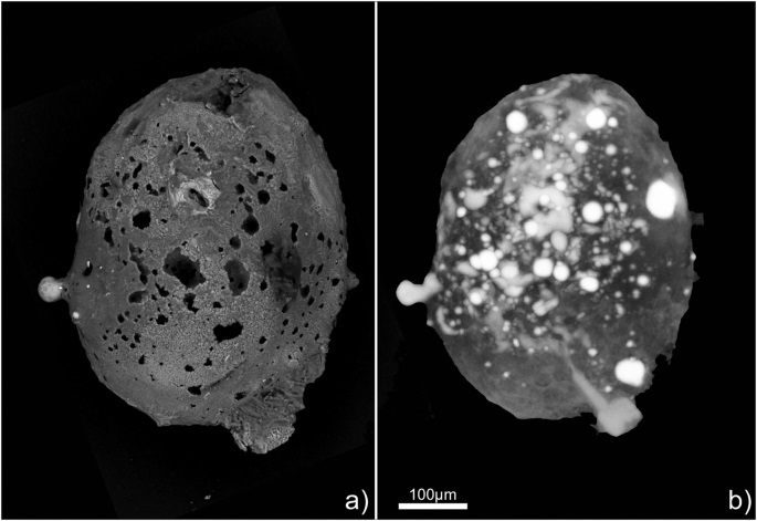 immagini della micrometeorite ritrovata sul Monte Gariglione (Catanzaro)