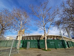 Stadio Franchi (foto Antonello Serino)