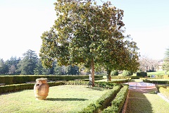 Parco Mediceo di Pratolino (foto Antonello serino - Met Ufficio Satmpa)