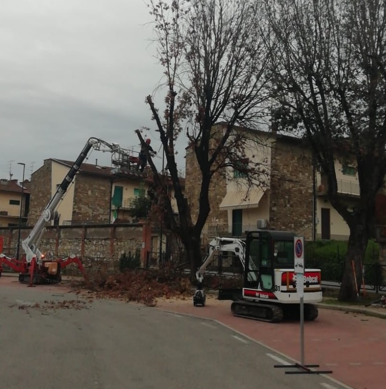 Lavori alberature Incisa (Fonte foto Comune di Figline e Incisa Valdarno)