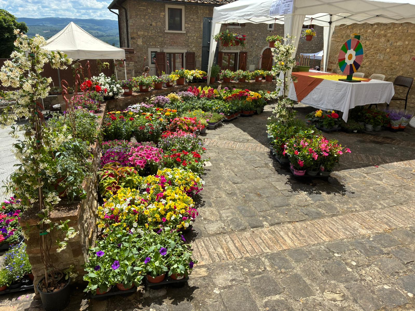 Barberino in Fiore (Foto da comunicato Comune di Barberino Tavarnelle)