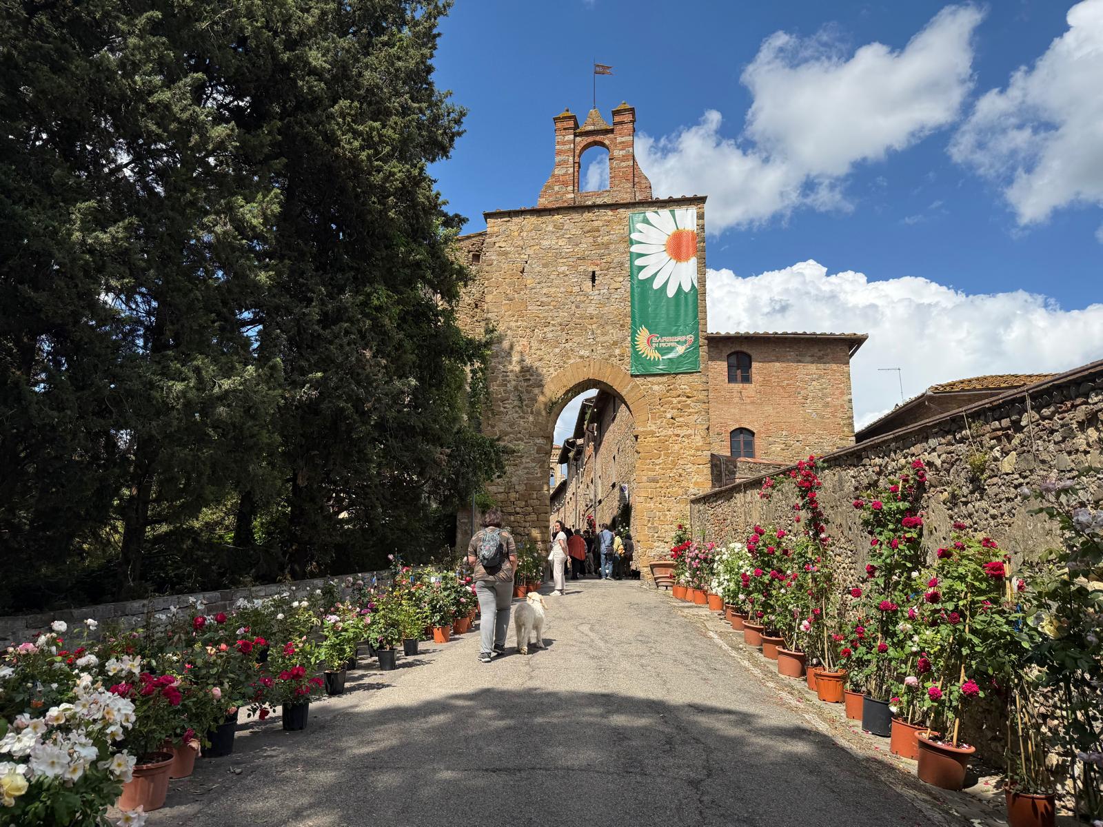 Barberino in Fiore (Foto da comunicato Comune di Barberino Tavarnelle)