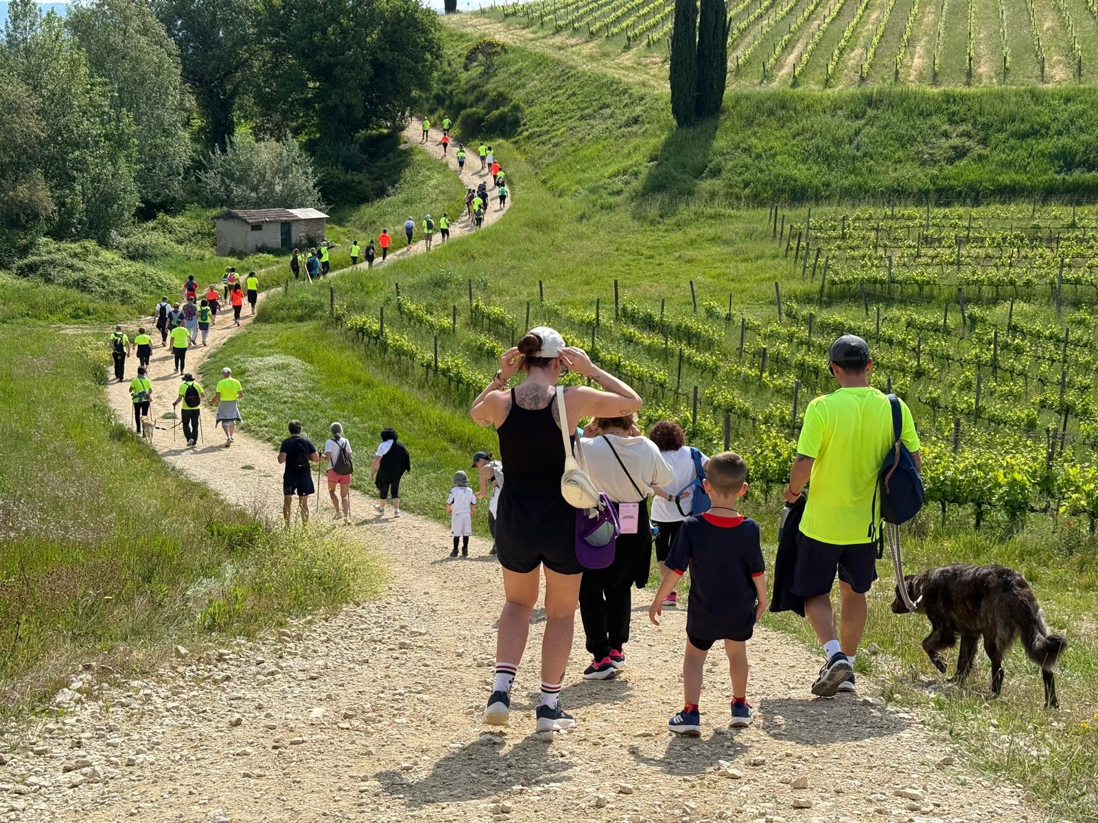 Benessere allo stato puro per i 1400 atleti della Chianti Classico Marathon (Foto da comunicato Comune di San Casciano in Val di Pesa)