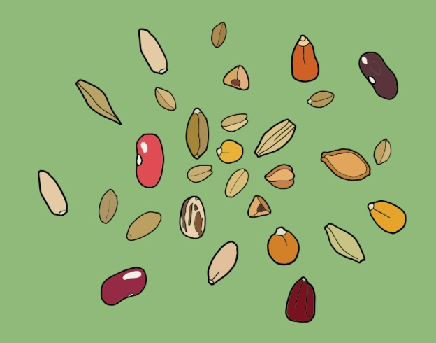 Rete dei Semi rurali