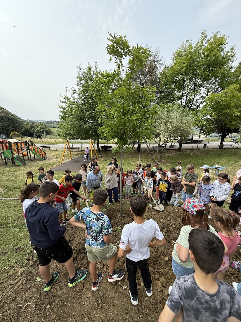Giornata mondiale dell'Ambiente