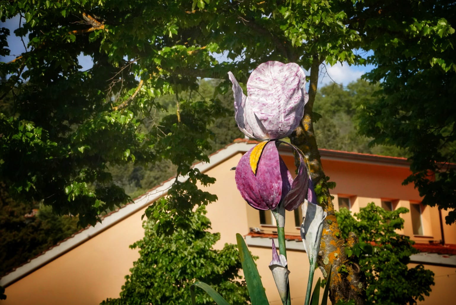 Il Giaggiolo (Fonte foto Comune di Greve in Chianti)