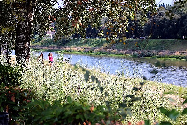 Parco delle Cascine (foto archivio Antonello Serino)