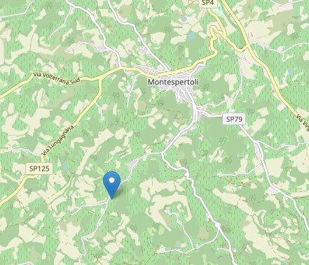 La geolocalizzazione della scossa