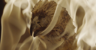 ANDRO ERADZE  BONES OF TOMORROW (fonte foto comunicato stampa)