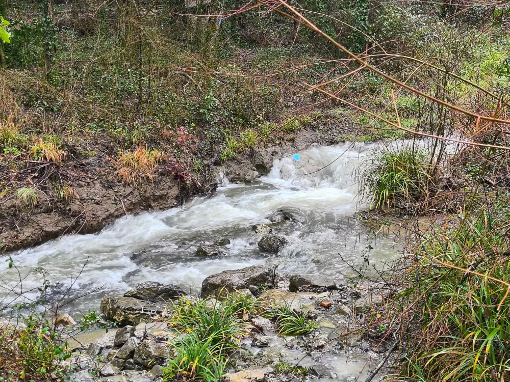 (fonte foto comunicato stampa)