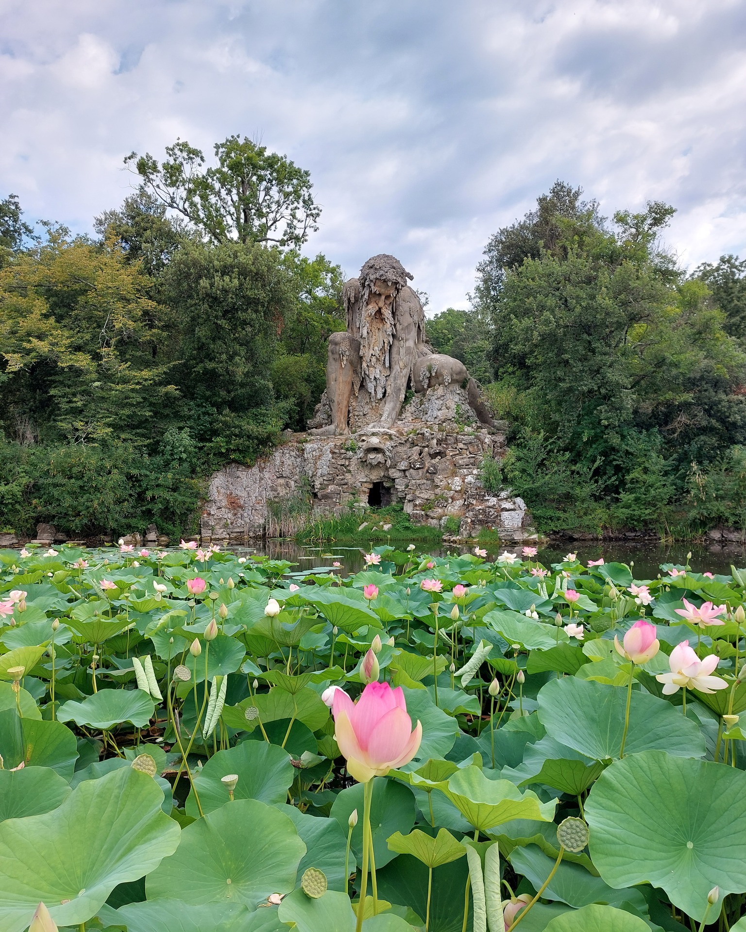 Foto Città Metropolitana di Firenze