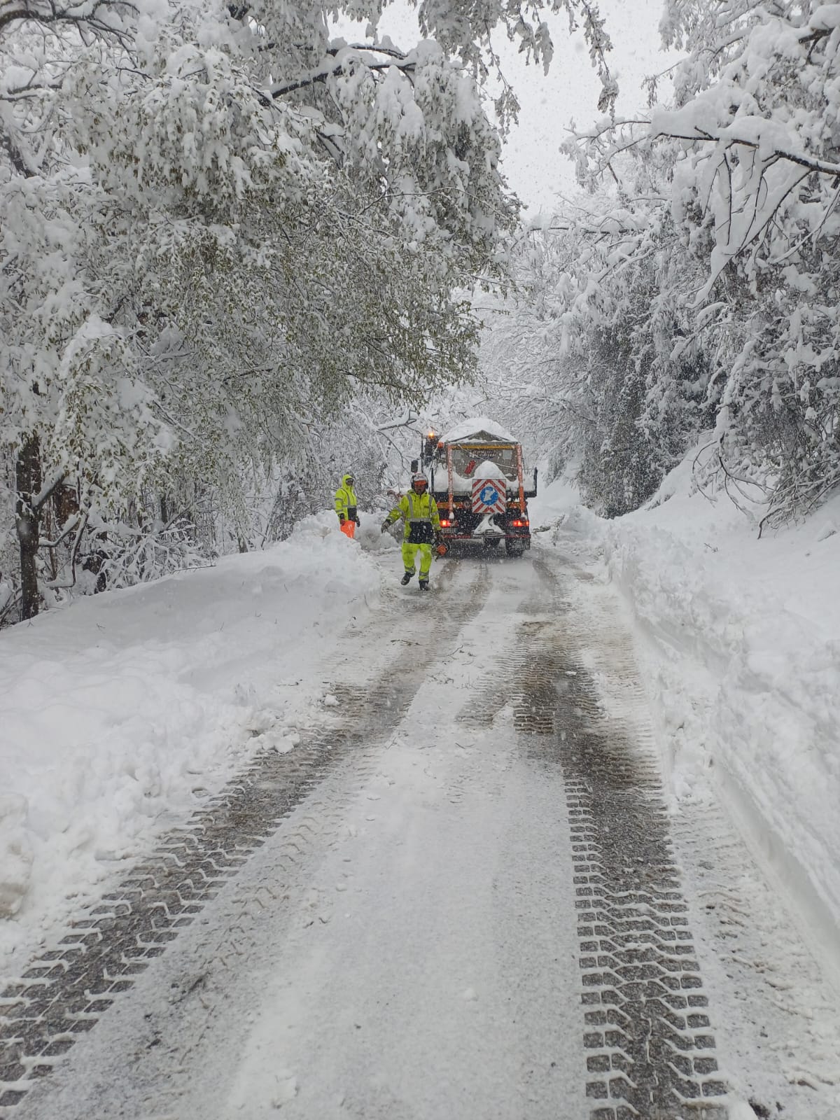 Foto Città Metropolitana di Firenze