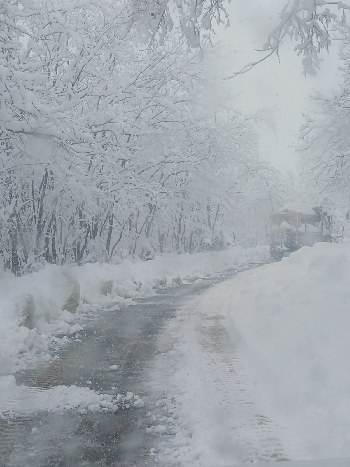 Foto Città Metropolitana di Firenze