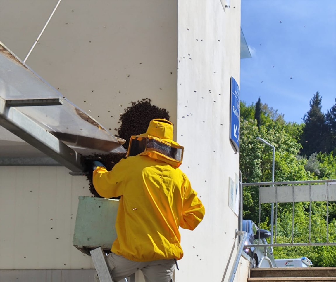 Il momento del recupero