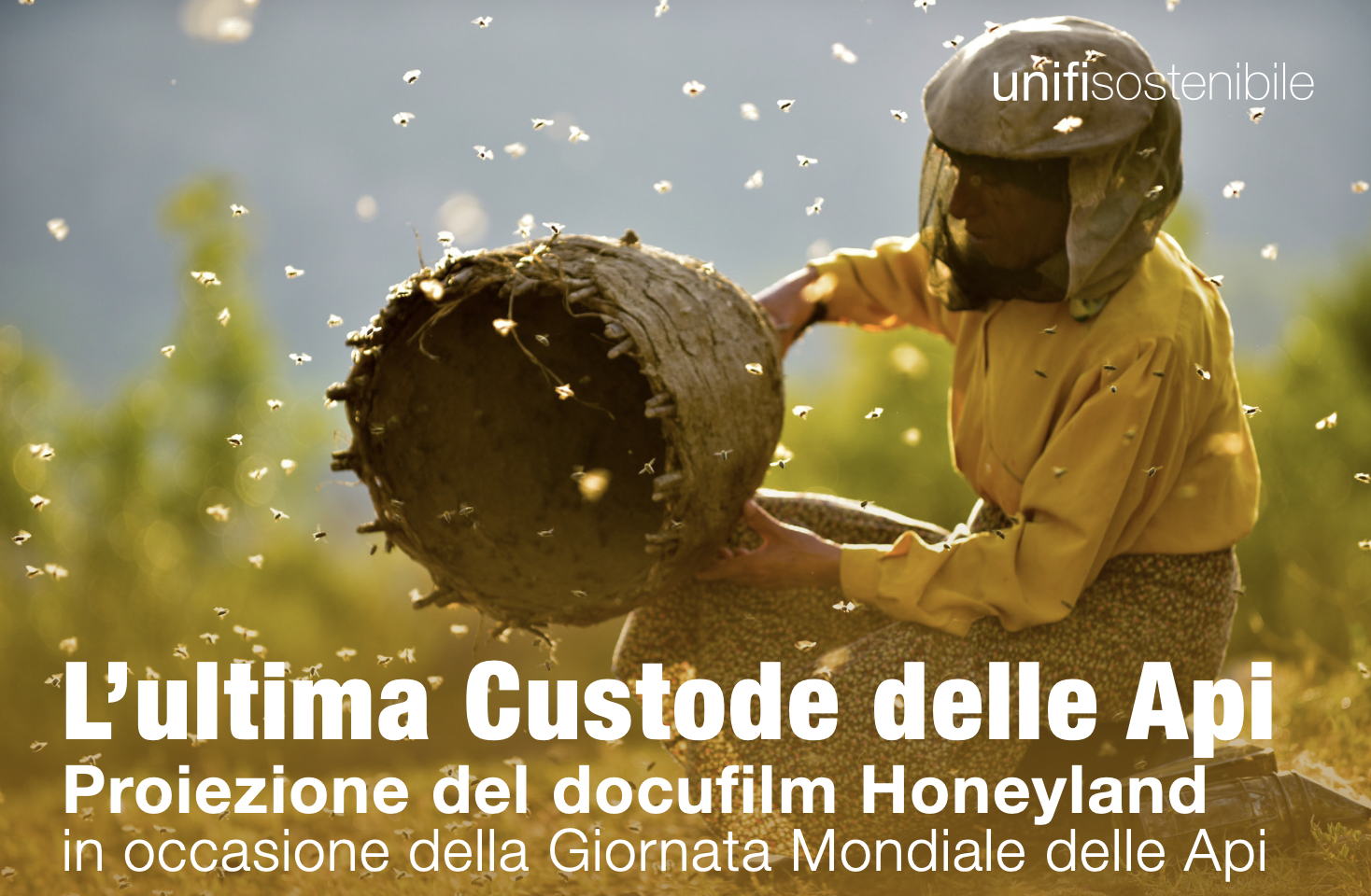 Honeyland, l'ultima Custode delle Api