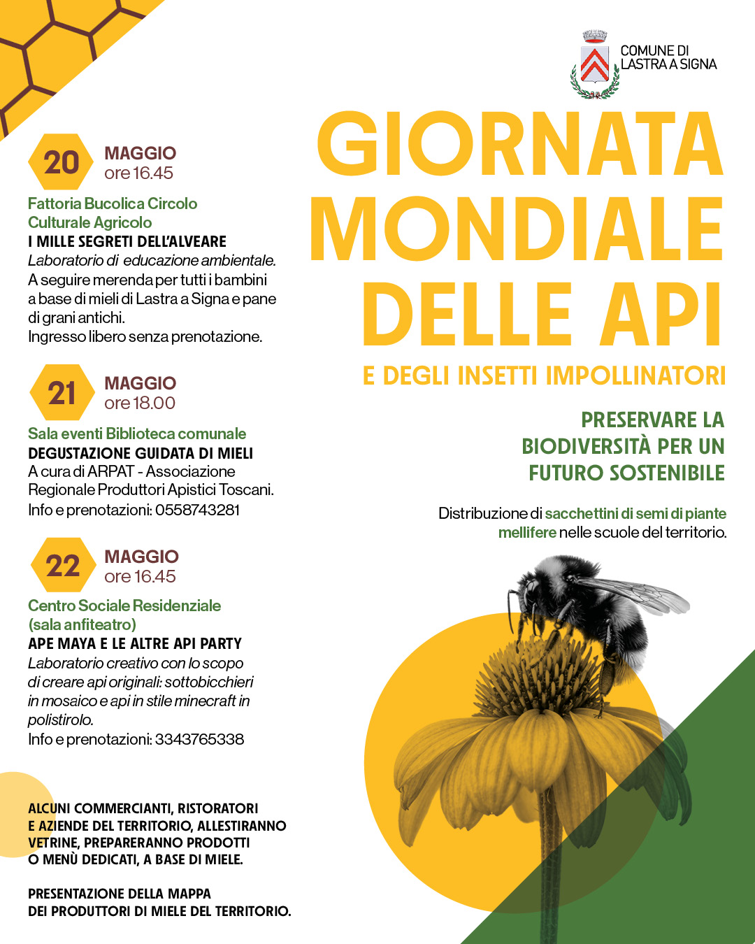 Giornata Mondiale delle api, dal 20 maggio un programma di iniziative 