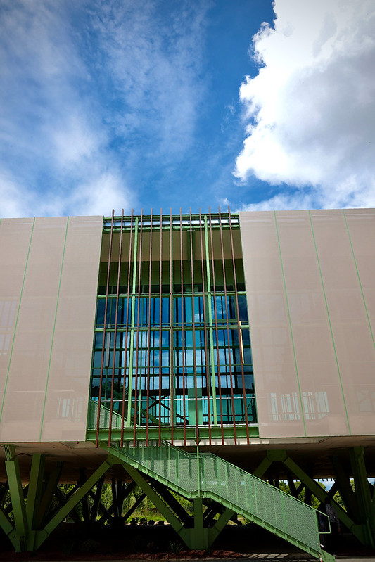 Istituto Tecnico Agrario, particolare della nuova palestra (foto Antonello Serino - Met Ufficio Stampa)