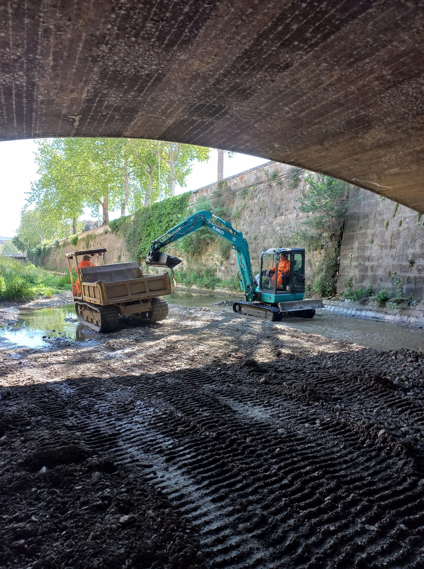 Ripulito il tratto centrale del Torrente Mugnone