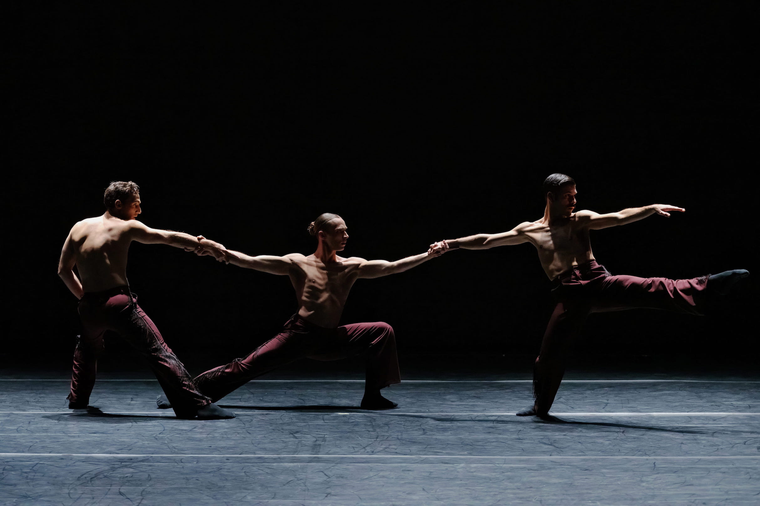 CORNELIA_variation +_Ph. karolina kuras 2 (fonte foto comunicato stampa)