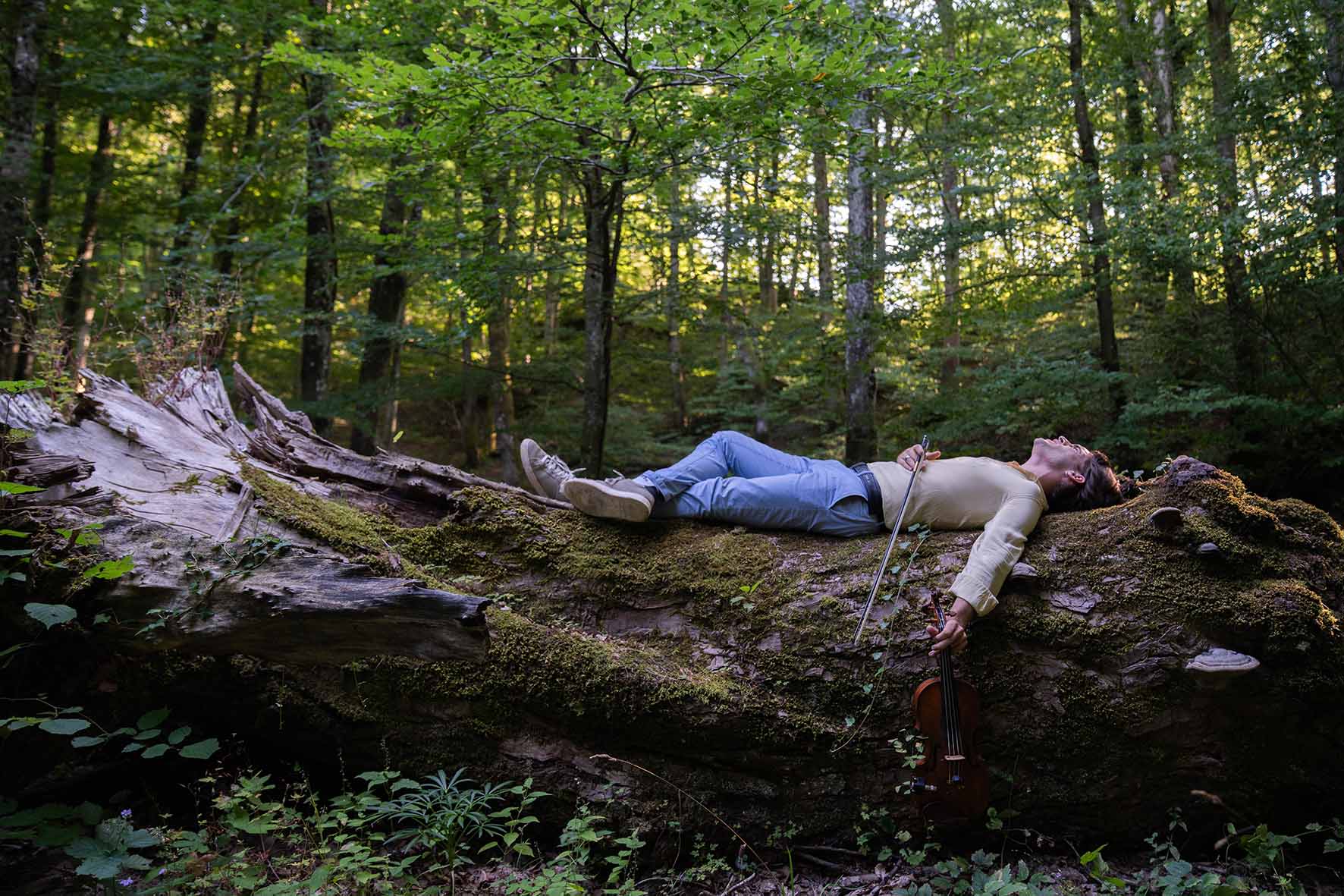 Renato Torre, Armonia e Bellezza (Fonte foto comunicato Parco Nazionale delle Foreste Casentinesi