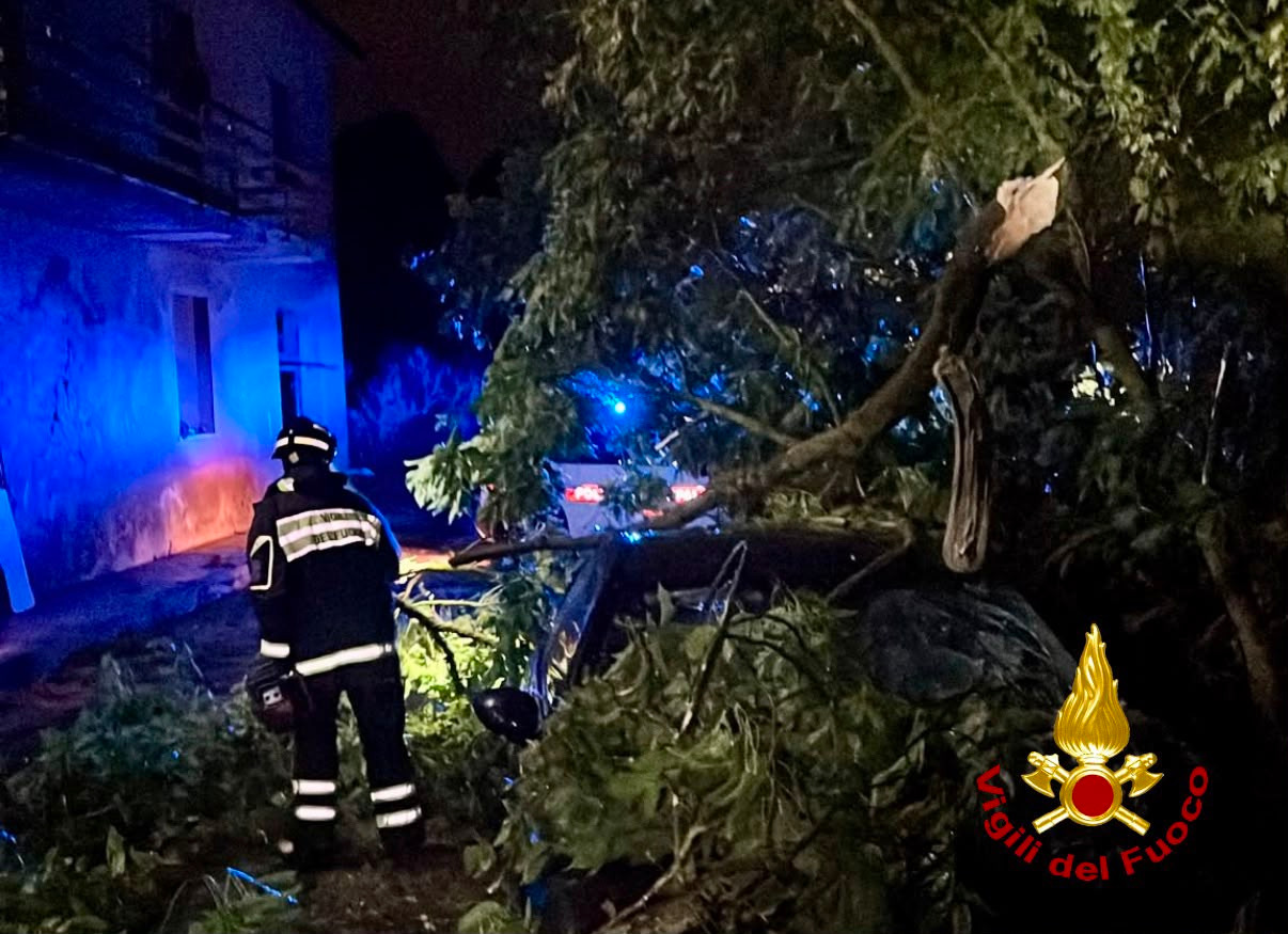 Vigili del Fuoco. Maltempo: il report degli interventi in provincia di Pisa (fonte foto Vigili del Fuoco)