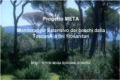 Monitoraggio estensivo dei boschi della Toscana a fini fitosanitari