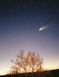 Cometa (foto da Wikimedia Commons)
