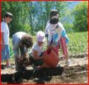 Didattica ambientale per bambini (immagine dal sito della Regione Val D'Aosta)