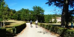 Biciclette a Pratolino
