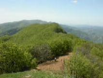 Poggio Scali