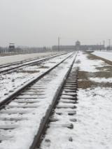 Ad Auschwitz per il Viaggio della Memoria