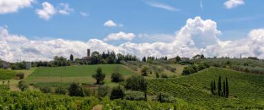 Le colline scandiccesi (foto Pro loco di San Vincenzo a Torri)