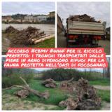 Tronchi Arno a Focognano 